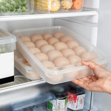 Plastic Egg 24 Grid Storage Container Holder for Refrigerator Egg Tray Holds 24 Eggs (1 Pc) the24kgal