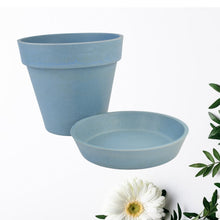 Heavy Plastic Flower pots With Tray (1 Pc) the24kgal