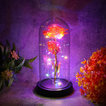 Elegant LED Eternal Rose in Plastic Dome (1 Pc / Battery Not included) the24kgal