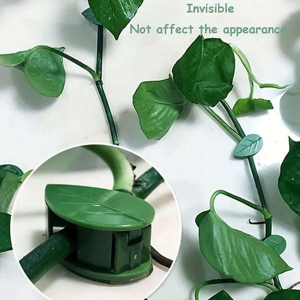Plant Climbing Wall Clip, Self-Adhesive Vines Support Hooks for Indoor Outdoor Use (10 Pcs Set) the24kgal