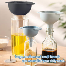 3 in 1 Kitchen Funnel Set of 3, Funnel for Filling Bottle, Small Canning Funnel with Handle, Food Grade Plastic Funnel with Detachable Strainer Filter for Liquid, Dry Ingredients, and Powder the24kgal