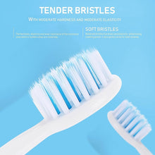 Battery-Operated Electric Toothbrush with Replaceable Head (1 Pc) the24kgal