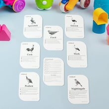 KidKraft Early Learner Educational Flashcards – 32 Birds the24kgal