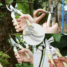 Stainless Steel Pruning Shears with Sharp Blades and Comfortable handle - Durable Hand Pruner for Comfortable and Easy Cutting, Heavy Duty Gardening Cutter Tool Plant Cutter for Home Garden | Wood Bran (1 Pc) the24kgal