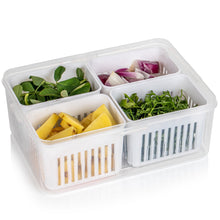 Fridge Storage Box – Freezer & Kitchen Organizer for Vegetables & Food (1 Pc) the24kgal