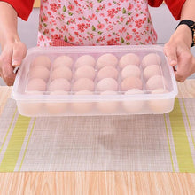 Plastic Egg 24 Grid Storage Container Holder for Refrigerator Egg Tray Holds 24 Eggs (1 Pc) the24kgal