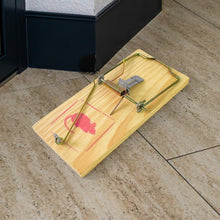 Wooden Mouse Rat Traps (1 Pc) the24kgal