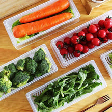 Vegetables & Fruits Freezer Storage Container (PACK OF 6PC 1500ML) the24kgal