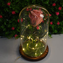 Glass Flower with Led Light Great Gift (1 Set) the24kgal