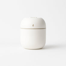 Portable Mini USB Humidifier with Light, Cool Mist & Essential Oil Diffuser (250ML) the24kgal