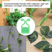Plant Climbing Wall Fixture Clip Self-Adhesive Hook (100 Pcs Set) the24kgal