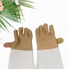Garden Gloves for Gardening Work (1 Pair / B Grade / Big) the24kgal