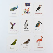 KidKraft Early Learner Educational Flashcards – 32 Birds the24kgal