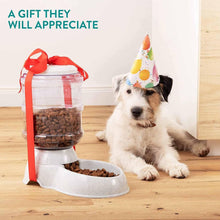 Automatic Pet Food Dispenser Self-Dispensing Pet Feeder Food Dispenser the24kgal