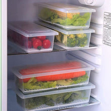 Vegetables & Fruits Freezer Storage Container (PACK OF 6PC 1500ML) the24kgal