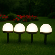 Dome Solar Garden Light Set (4 Pc) the24kgal