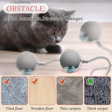 Rechargeable Interactive Cat Toy Ball with Detachable Braided Tail and LED Light (1 Pc) the24kgal