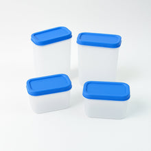 Apex Glory Plastic Storage Container Box Set (4 Pc) the24kgal