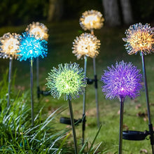 Solar Powered Dandelion Garden Lights (2 Pc) the24kgal