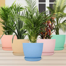 Round Flower Pot with Bottom Tray (5 Pcs Set / Small / 14×16 Cm) the24kgal
