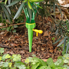 Adjustable Plant Watering Spikes with Slow Release Valve the24kgal