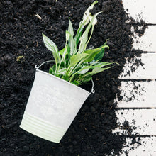 Organic Vermicompost Black Soil for Plants Health Manure (1 KG Approx) the24kgal