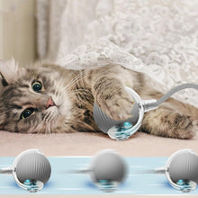 Rechargeable Interactive Cat Toy Ball with Detachable Braided Tail and LED Light (1 Pc) the24kgal