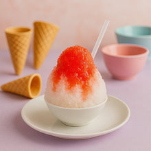 Manual Ice Crusher & Snow Cone Maker with Hand Crank the24kgal