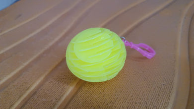 Flexible plastic Worm Fidget Toy (1 Pc) the24kgal