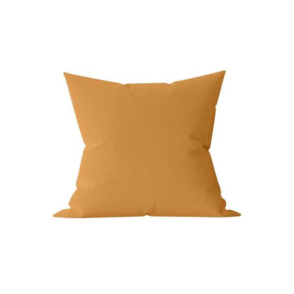 Pillow Covers, Couch Pillows Cover, Soft Decorative Pillow Covers (80 × 60 CM / 1 Pc) the24kgal