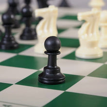 Small Premium Portable Chess Set Plastic Chess Pieces (1 Set) the24kgal