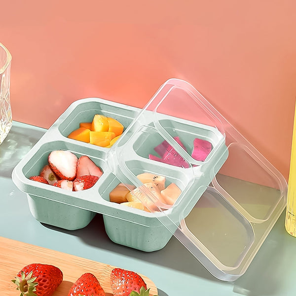 4 Compartment Food Storage Containers (1 Pc) the24kgal