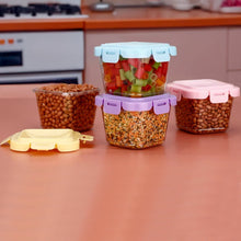 Plastic Food Storage Containers with Lid (4 Pcs Set / 500 ML) the24kgal