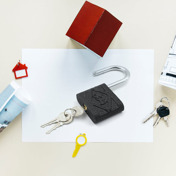 Black Iron Padlock – Brass Core, Waterproof & Anti-Theft for Home & Outdoor (75 mm) the24kgal