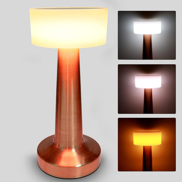 LED Lamp with Touch Control | Decorative Desk Lamp, Portable Metal LED Table Lamp, USB Rechargeable, 3 Color, 3 Levels Brightness, Dimmable Eye Protection Modern Lamp for Home Decor Party Kids Room Bedroom (1 Pc) the24kgal