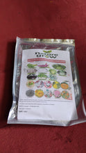 20 Varieties of Vegetable & Flower Seeds Combo (1 Pkt. / 20 Varieties) the24kgal