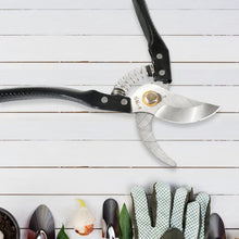 Gardening Tools - Garden Shears Pruners Scissor (1 Pc) the24kgal