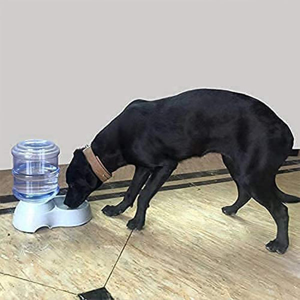 Automatic Pet Water Dispenser, Food Storage Bottle the24kgal