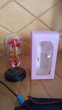 Elegant LED Eternal Rose in Plastic Dome (1 Pc / Battery Not included) the24kgal