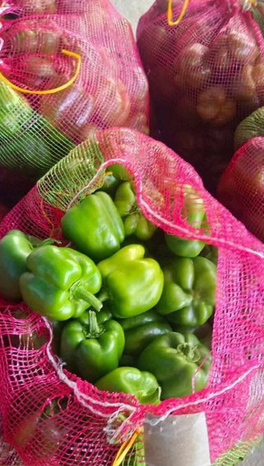 Shimla Mirch the24kgal