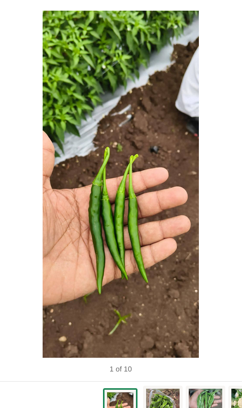 Hari Mirch | Green Chilli the24kgal