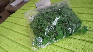 Plant Climbing Wall Fixture Clip Self-Adhesive Hook (200 Pcs Set) the24kgal