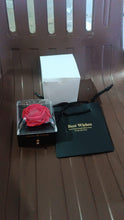 Preserved Eternal Rose Flower Gift Box Drawer (1 Pc) the24kgal