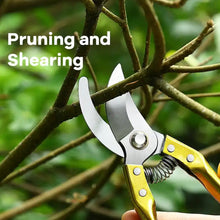 Gardening Tools - Garden Shears Pruners Scissor (1 Pc) the24kgal