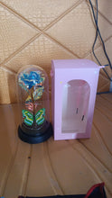 LED-Powered Eternal Rose in plastic Dome (1 Pc / Battery not Included) the24kgal