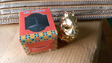 Multicolour LED Mushak / LED Mooshak for Ganpati Decorations (1 Pc) the24kgal