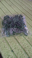 Plant Climbing Wall Fixture Clip Self-Adhesive Hook (100 Pcs Set) the24kgal