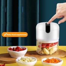 Wireless USB Rechargeable Mini Electric Garlic Machine / Chopper (250Ml) the24kgal