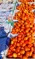 Wholesale