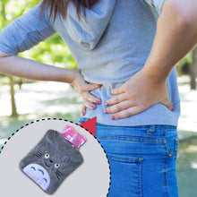Totoro Cartoon Small Hot Water Bag with Cover for Pain Relief the24kgal